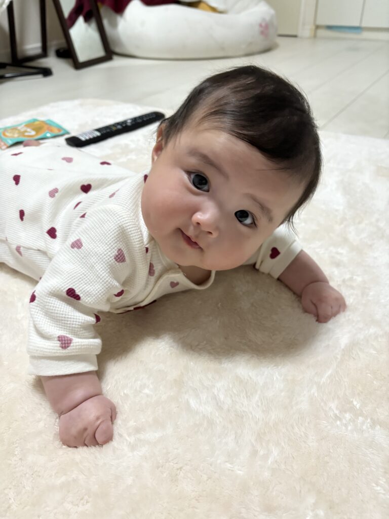 こちらを見つめる様子（＠piyopiyosan723さんより提供）