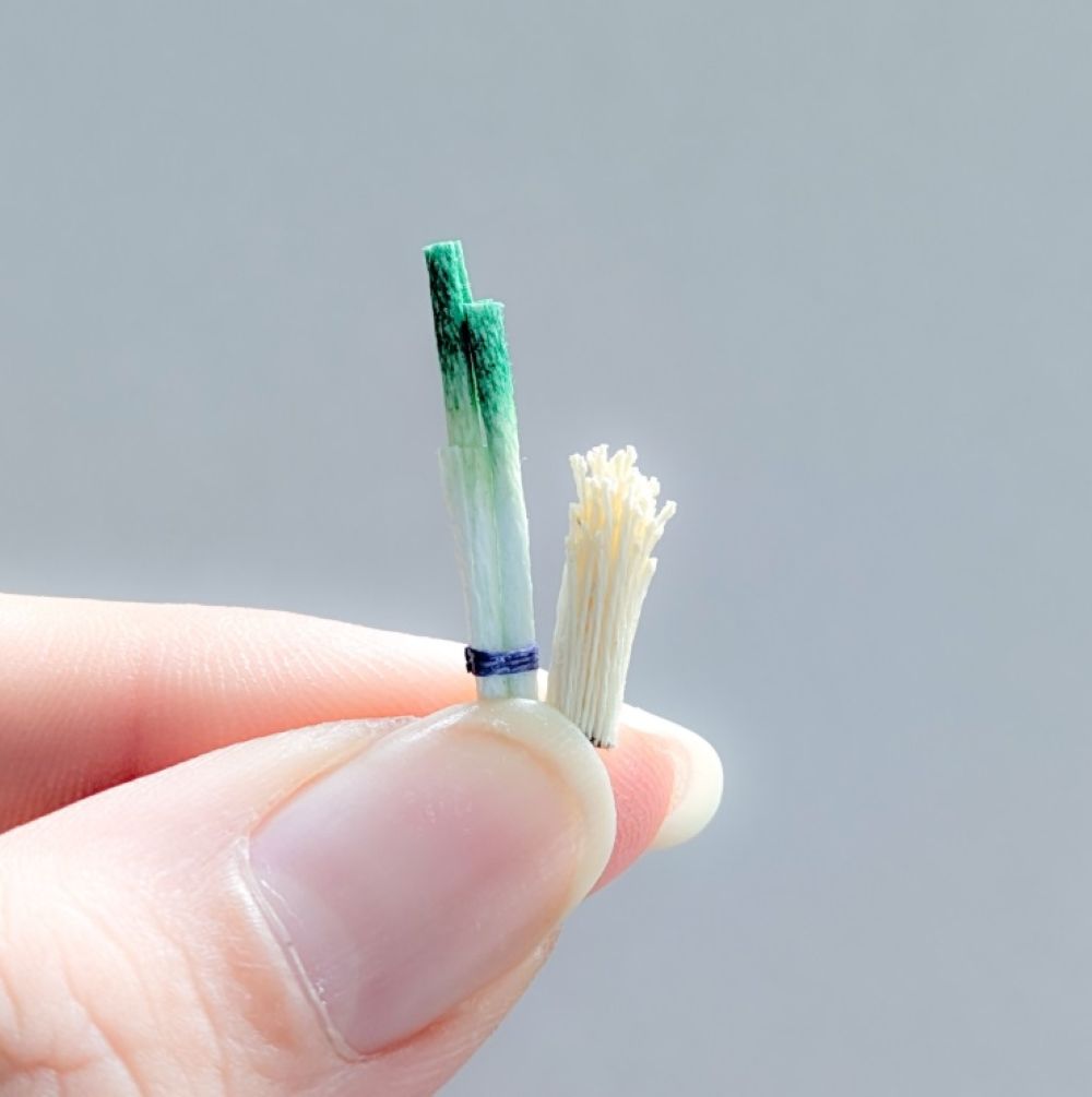 【実際の写真】投稿された白菜の写真（全体）