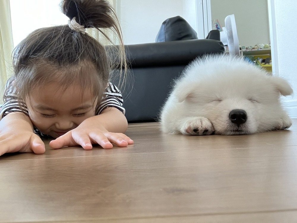 小さかった頃の様子②（＠puff__0603さんより提供）