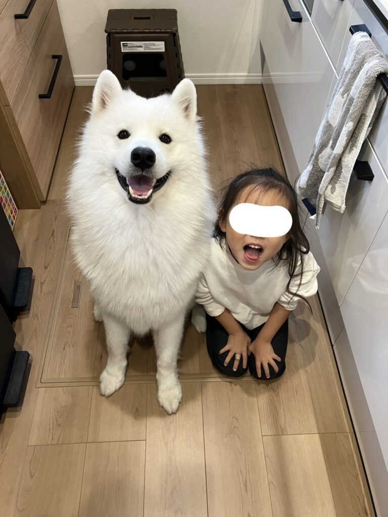 現在の様子①（＠puff__0603さんより提供）