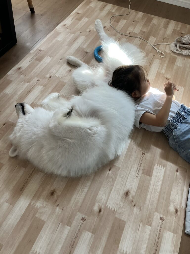 現在の様子②（＠puff__0603さんより提供）