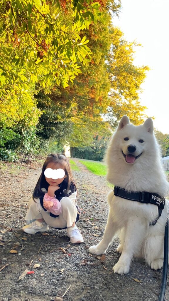 現在の様子③（＠puff__0603さんより提供）