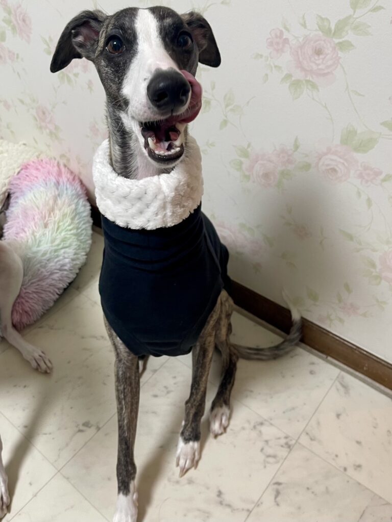 【実際の写真】置き配写真に写っていたもの