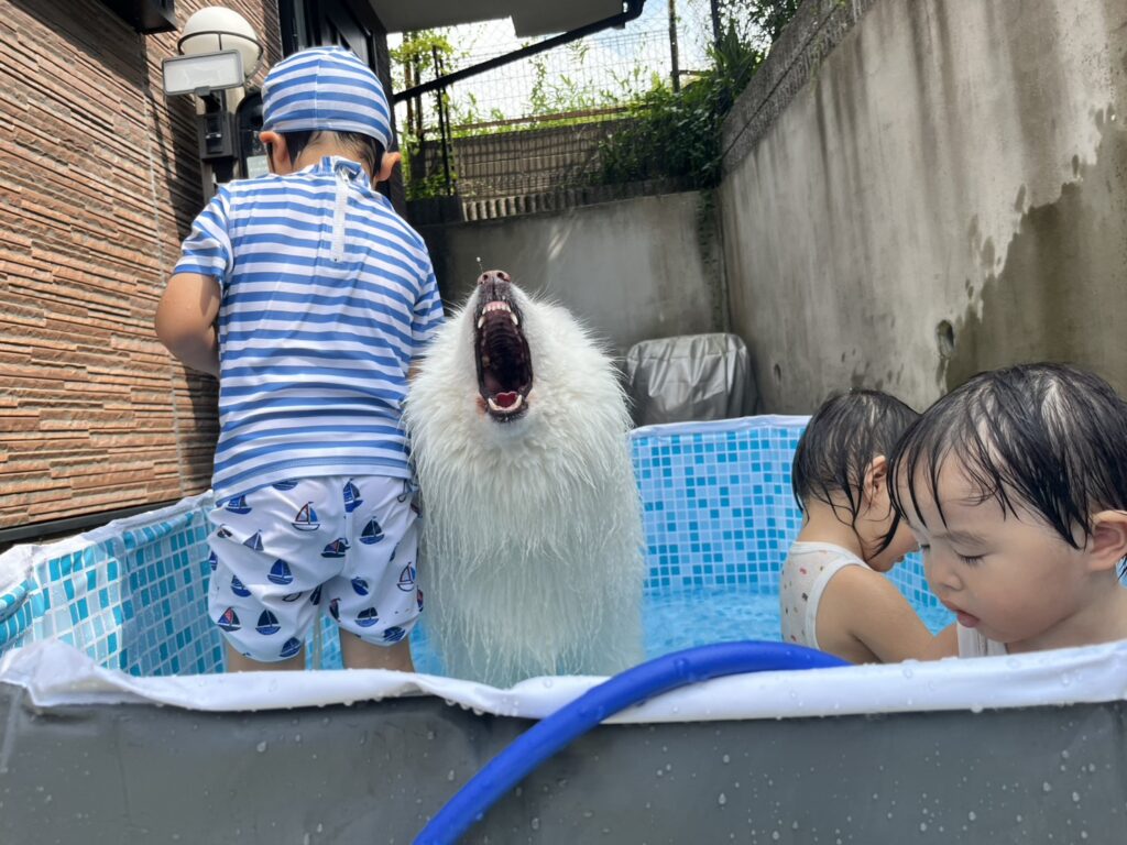 子どもたちとひるねちゃん②（＠komaci20さんより提供）