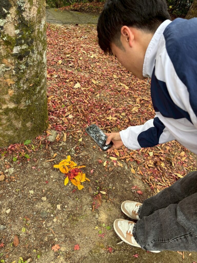 かわいらしい落葉アート（@kohatasuzuさんより提供）