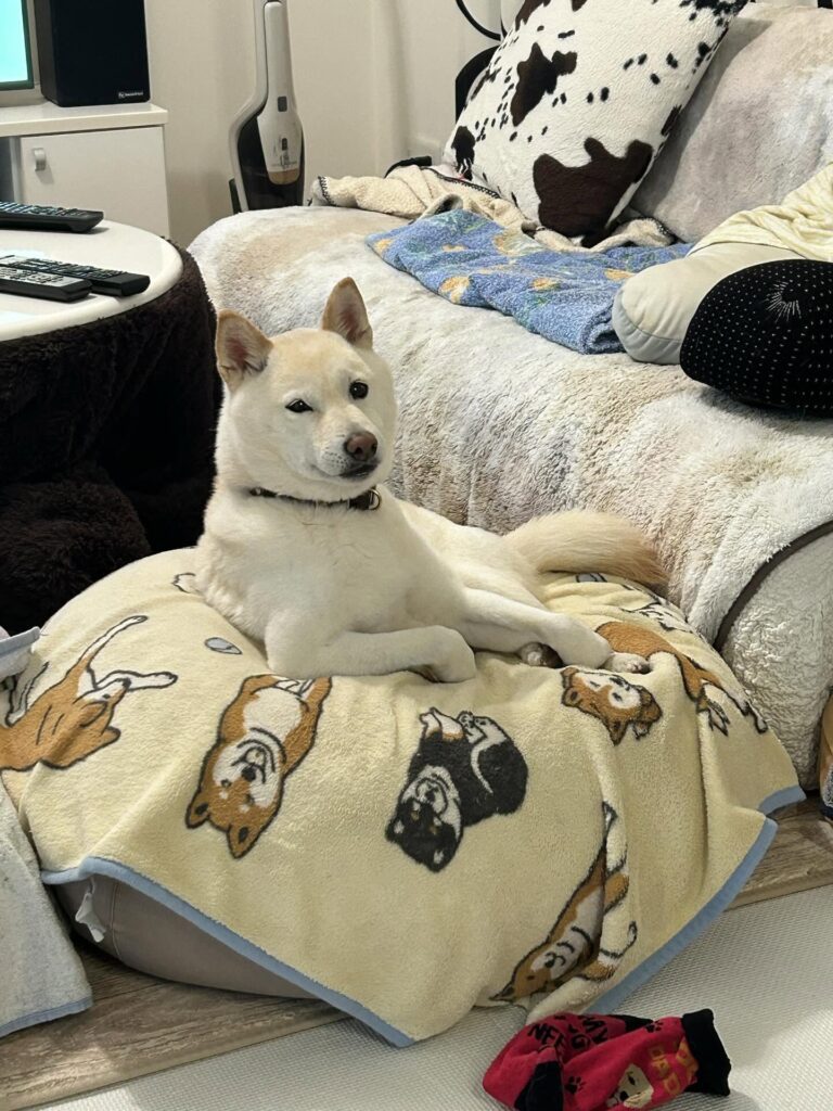 【実際の写真】視線の正体