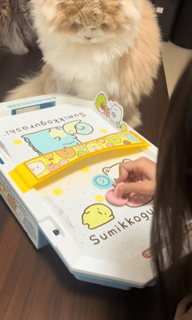 【実際の写真】エアホッケーをする娘さんのまさかの対戦相手