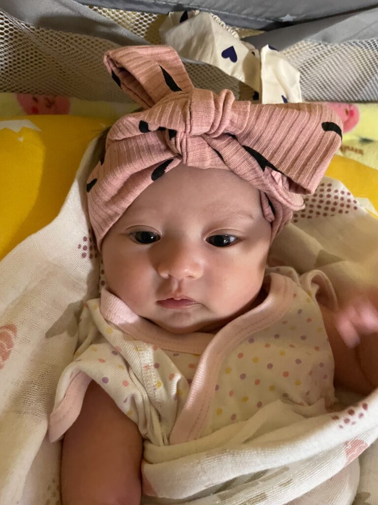 【実際の写真】その後の姿