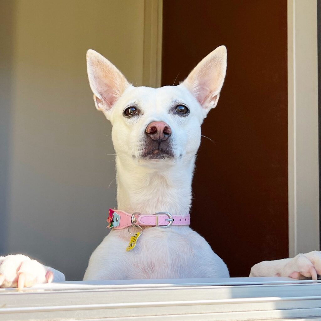 【実際の写真】配達員さんが撮影した写真