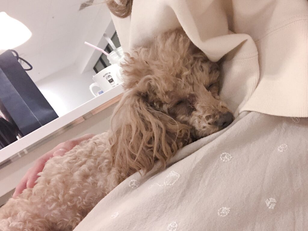 カフェで初めて会った日（＠iam.hanachan_さんより提供）