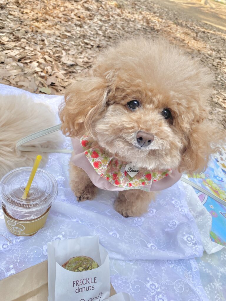 【実際の写真】3年半前の姿
