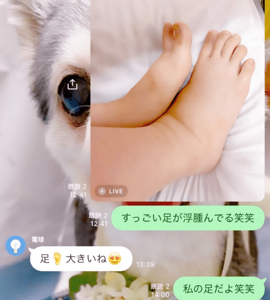 【実際の写真】お母さんに送ったLINEのやり取り