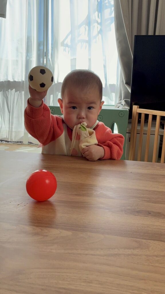 次男さん②（＠pikasakutoraさんより提供）