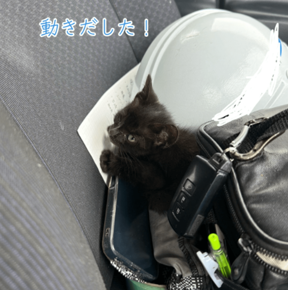 【実際の写真】現在の様子