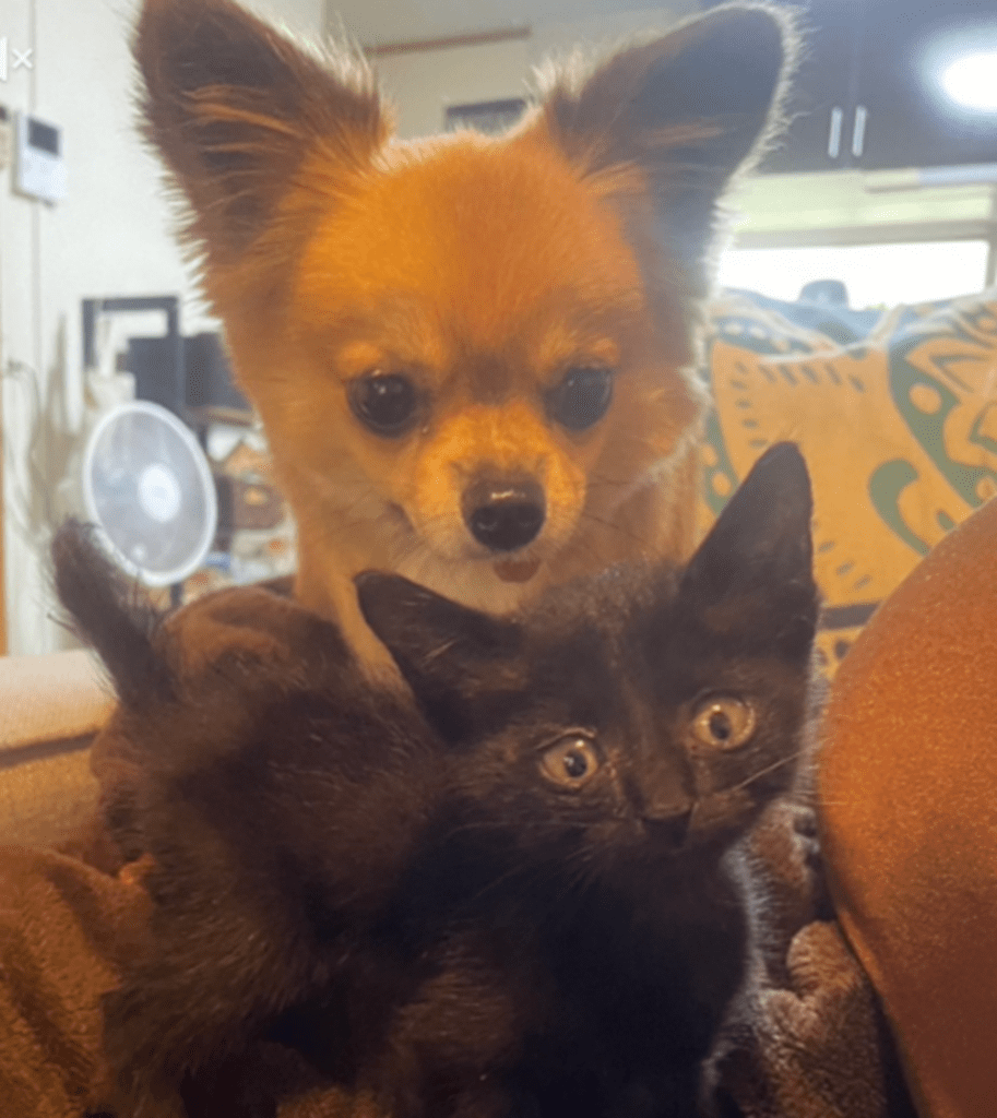 これからもいいコンビで（@dora.racingさんより提供）