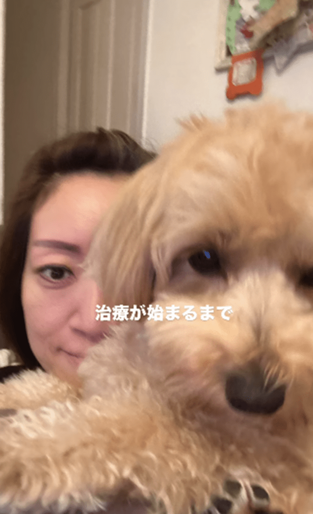 【実際の写真】現在の様子