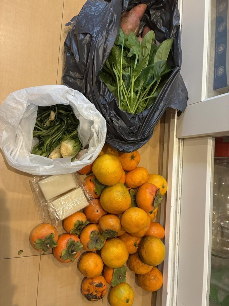 息子さんとの散歩のあと（＠y.y.k.0310さんより提供）