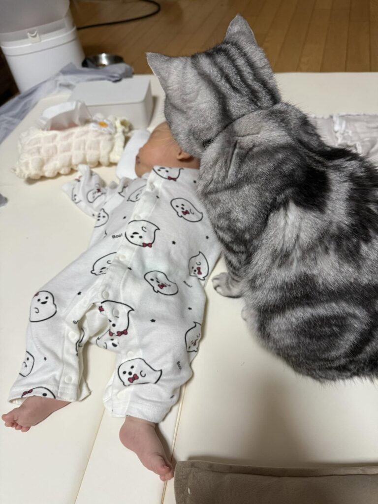 じっと見つめるぴとくん②（＠okane_pinchさんより提供）