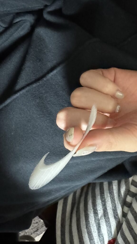 ロゴとそっくりのネギ（＠saho.kurashiさんより提供）