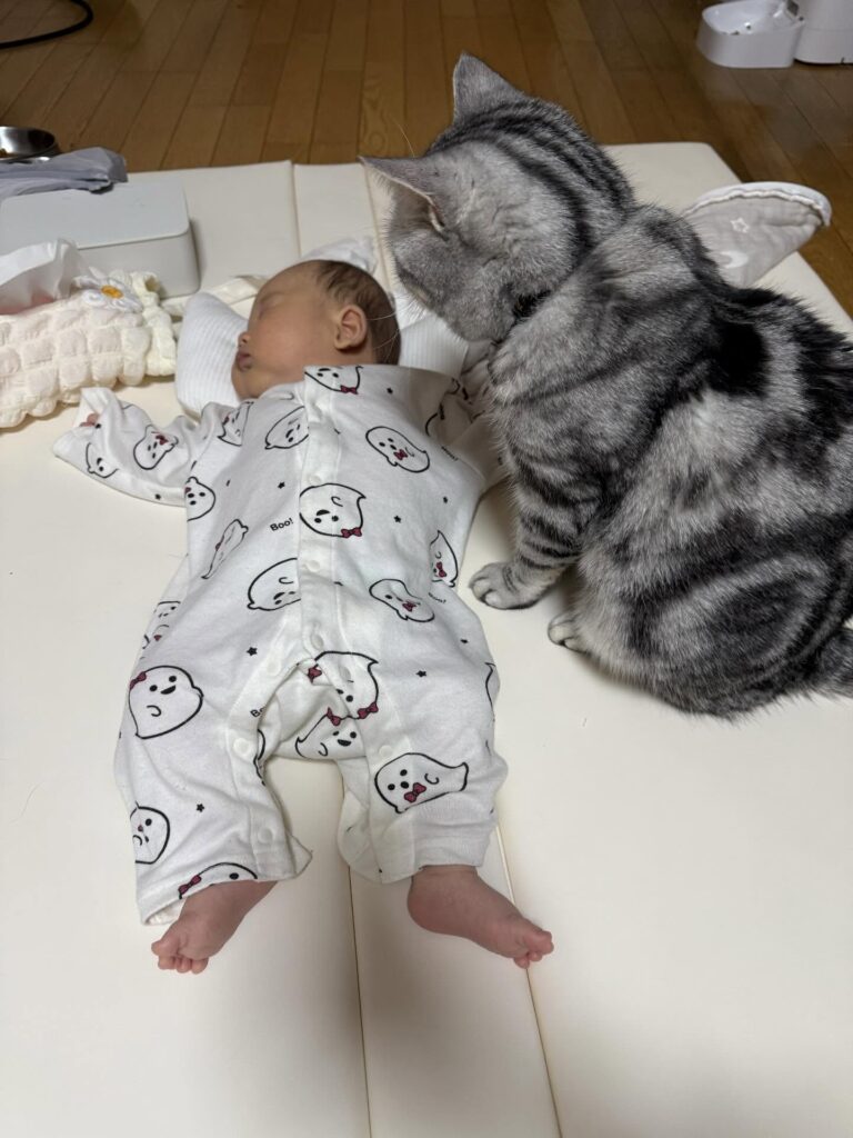 じっと見つめるぴとくん①（＠okane_pinchさんより提供）