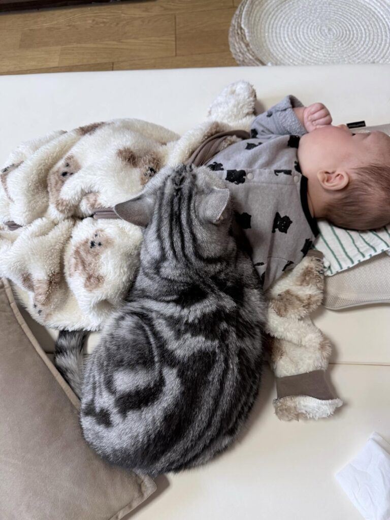 寄り添うぴとくん②（＠okane_pinchさんより提供）