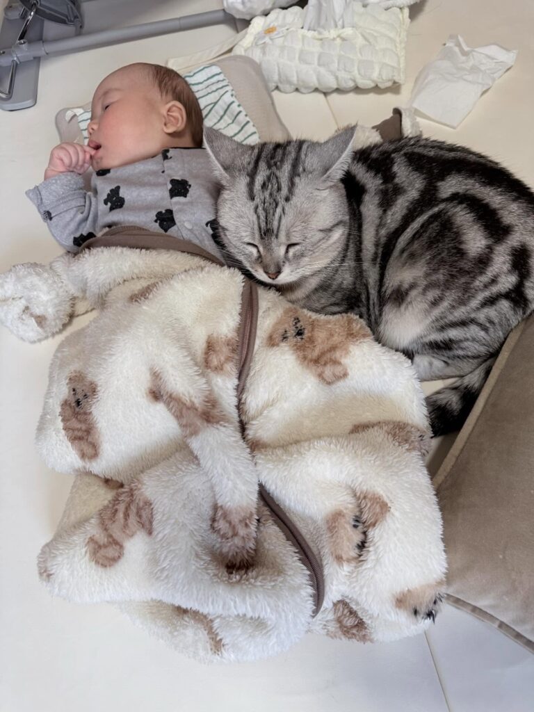 寄り添うぴとくん④（＠okane_pinchさんより提供）