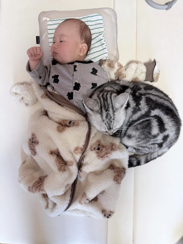 【実際の写真】急いで駆けつけたママさんが見た光景