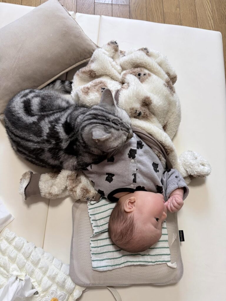 寄り添うぴとくん③（＠okane_pinchさんより提供）