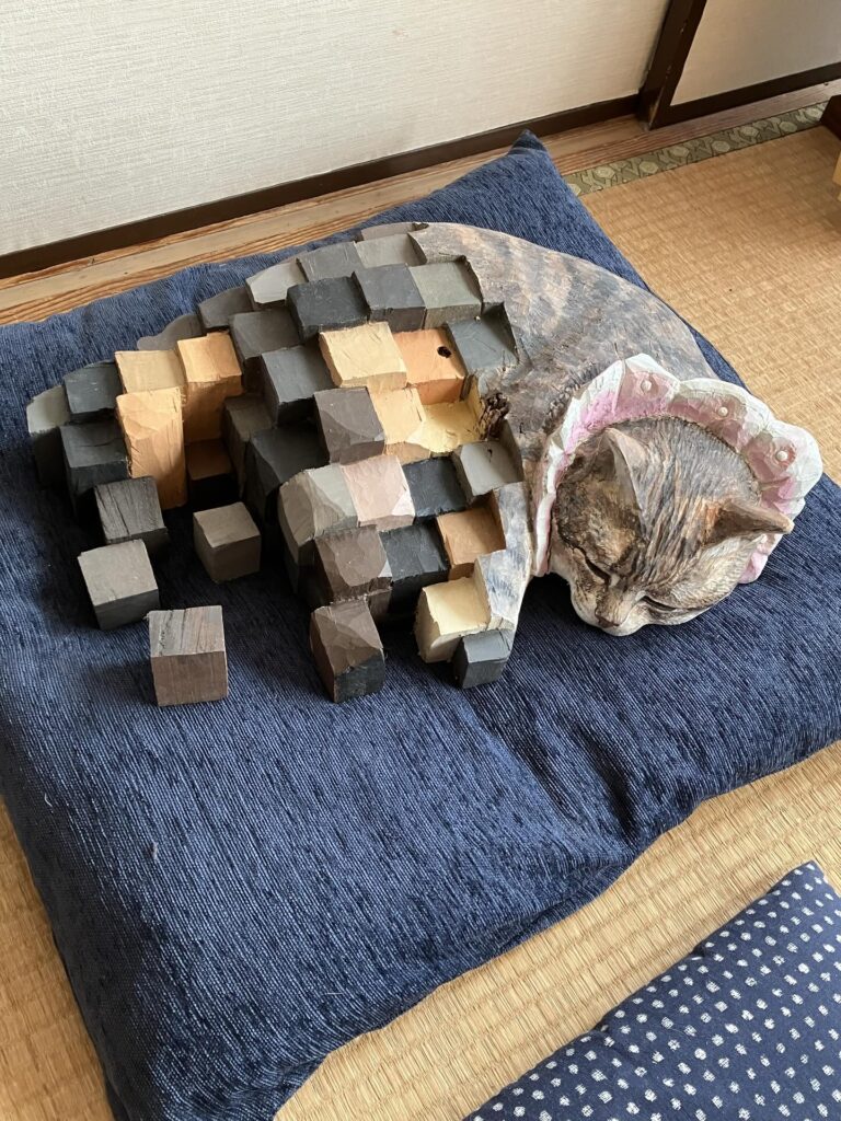 【実際の写真】愛猫に対して覚えた違和感の正体