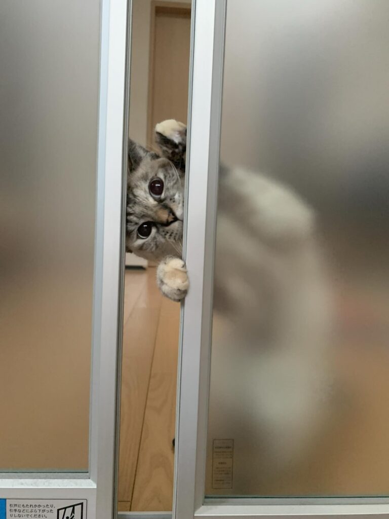 【実際の写真】現在の様子