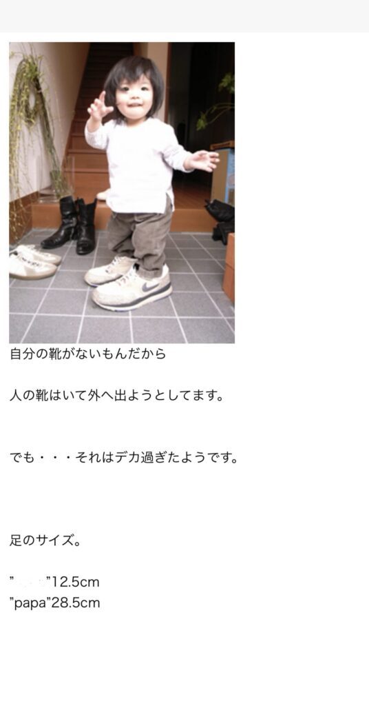 お父さんのブログ⑥（＠n.ko___oさんより提供）