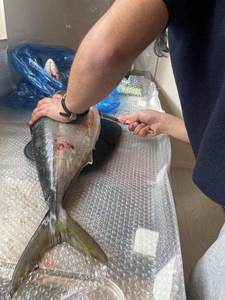 ブリを捌く様子（＠ennakonomanewさんより提供）