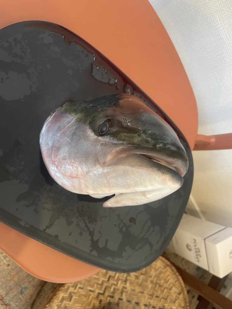 ブリカマ（＠ennakonomanewさんより提供）