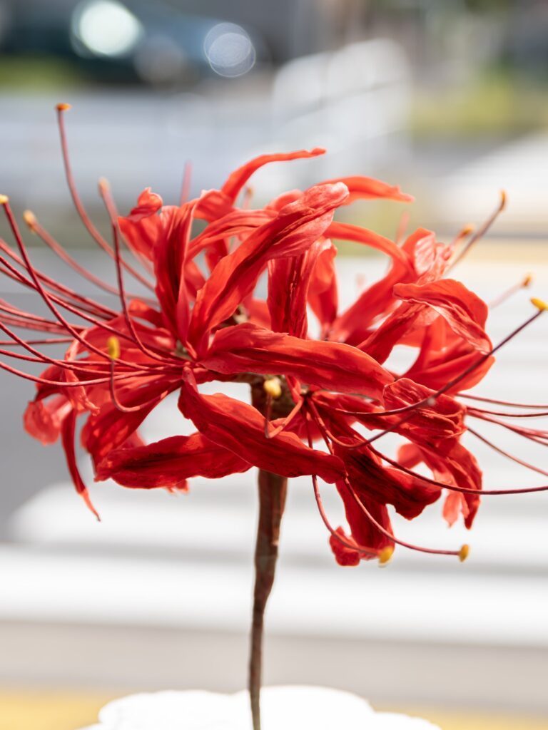 砂糖細工の彼岸花（＠kenta_sucretierさんより提供）