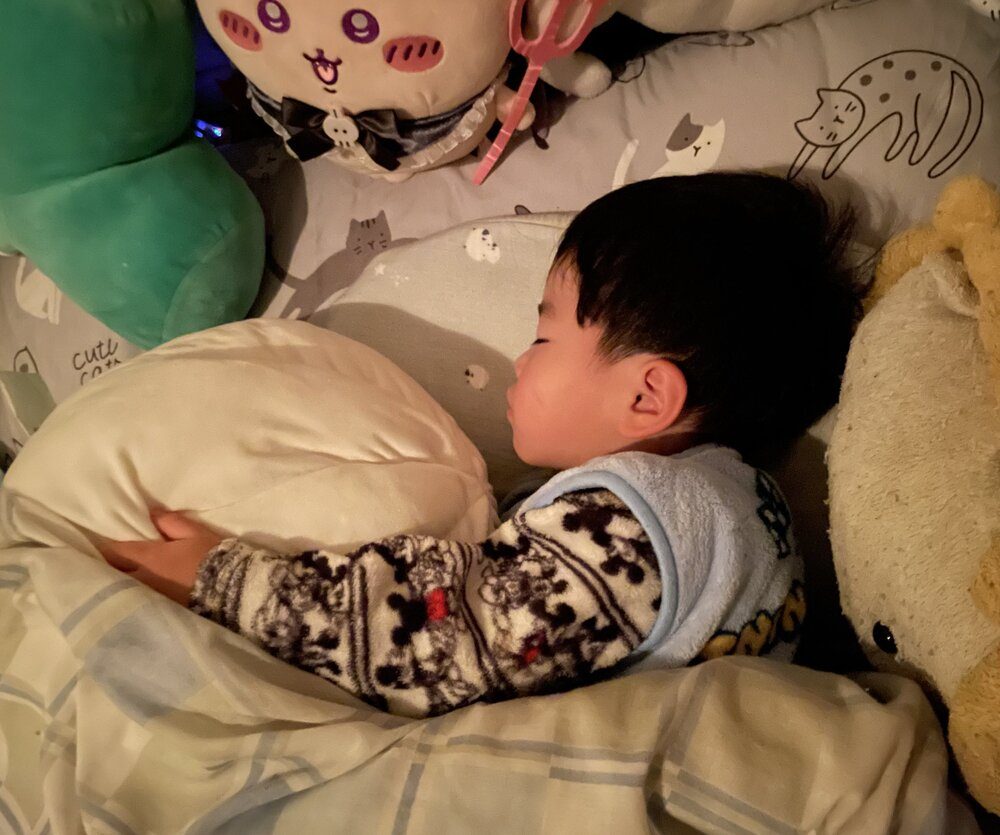 肉まんクッションを抱いて眠る（@R453374510さんより提供）