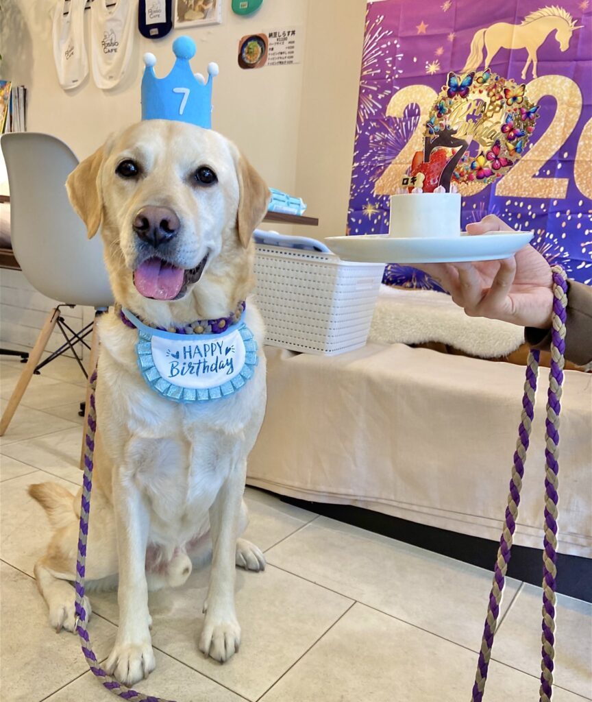 7歳の誕生日を迎えたロキくん（＠zl_vwyさんより提供）