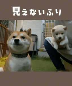 【実際の写真】4ヶ月後の様子