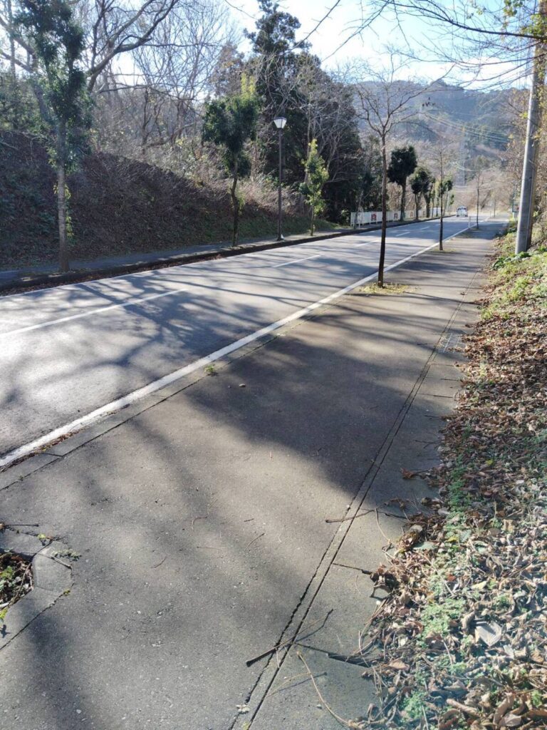 【実際の写真】年配男性に渡されたモノ