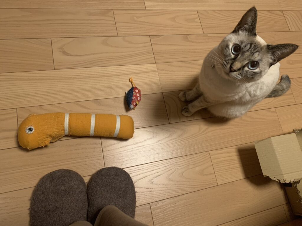 普段の様子①（＠mio_nokoさんより提供）