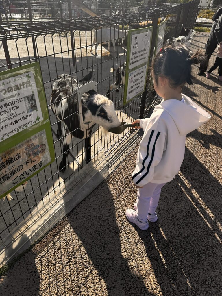 普段の娘さん（＠unmeichimaiさんより提供）