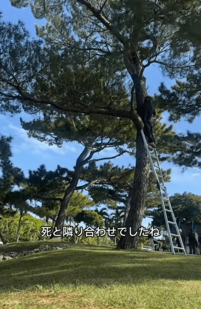 【実際の写真】クリスマスマーケットの様子