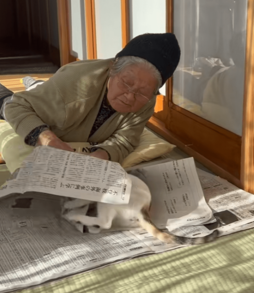 新聞にダイブ！（@miikotobaakoさんより提供）