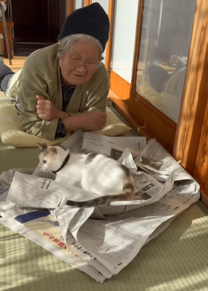 新聞もぐしゃぐしゃに…（@miikotobaakoさんより提供）