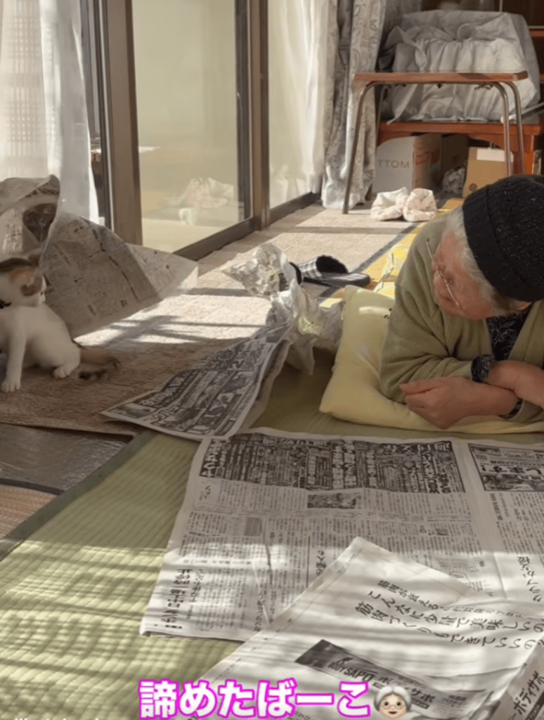 昼間の優しいひととき（@miikotobaakoさんより提供）