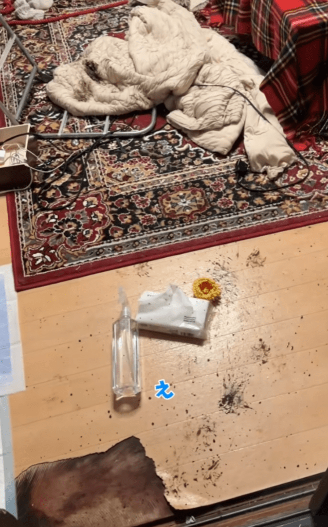 部屋の中が泥だらけ！？（@shoomatu0610さんより提供）