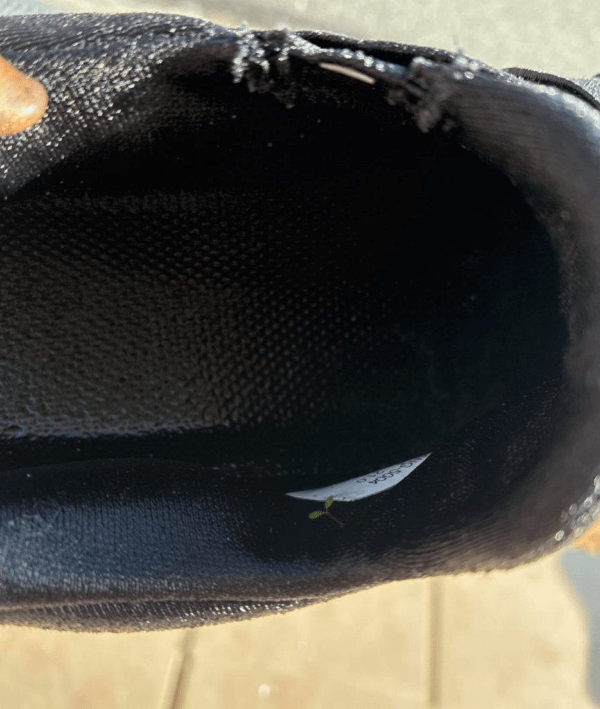 干していた靴の中に…（@mokakochanさんより提供）