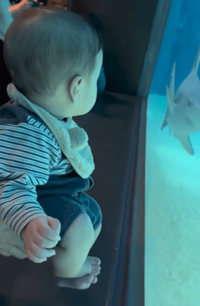 【実際の写真】息子さんが目の当たりにしたモノ