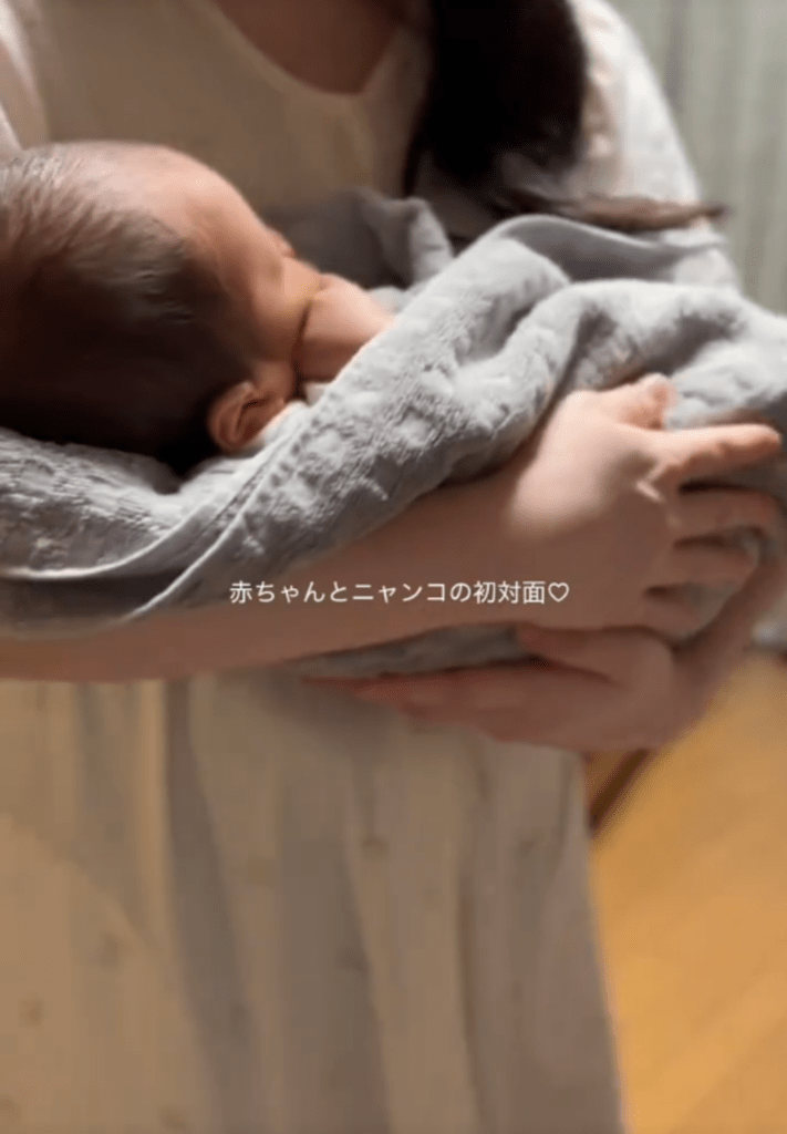 猫と赤ちゃんの初対面①（@hinamelo313より提供）