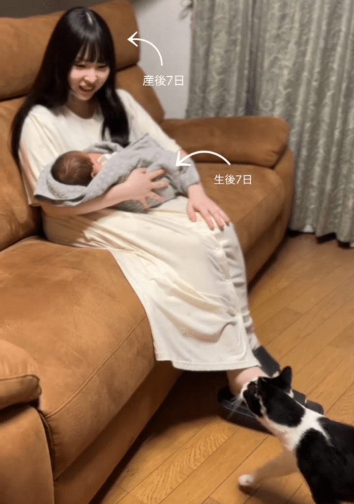 猫と赤ちゃんの初対面②（@hinamelo313より提供）