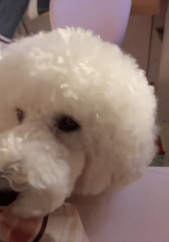 ますおくんが起こす番（＠masuo_maruoさんより提供）